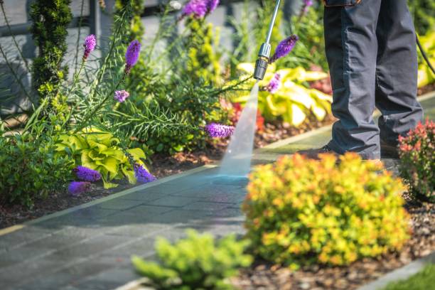 Berry Creek, CA Pressure Washing Services Company